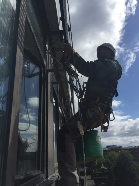 IMG_8559